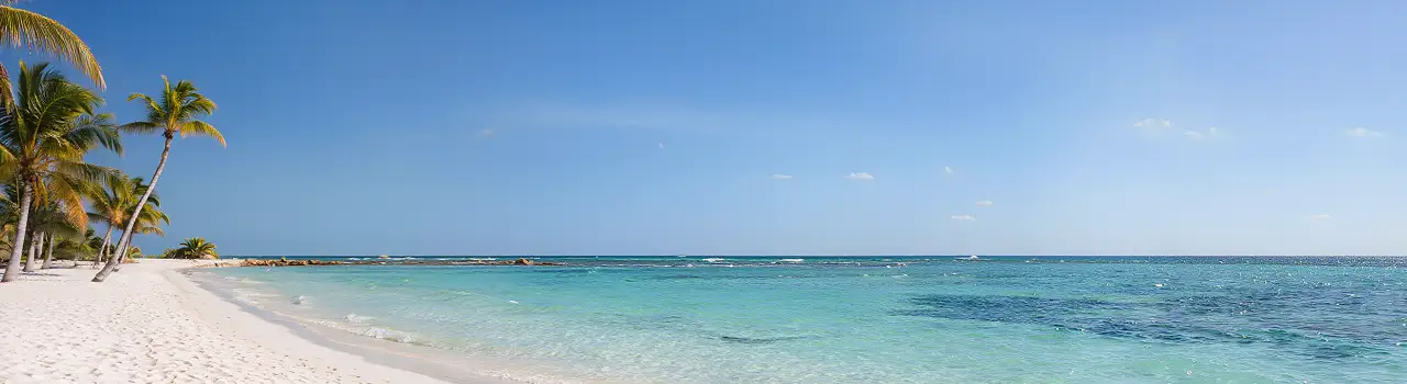 Djerba Strand Palmen t&uuml;rkisfarbenes Wasser