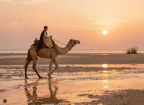 Kamelritt am Strand von Djerba bei Sonnenuntergang, Reiter in typischer Kleidung.