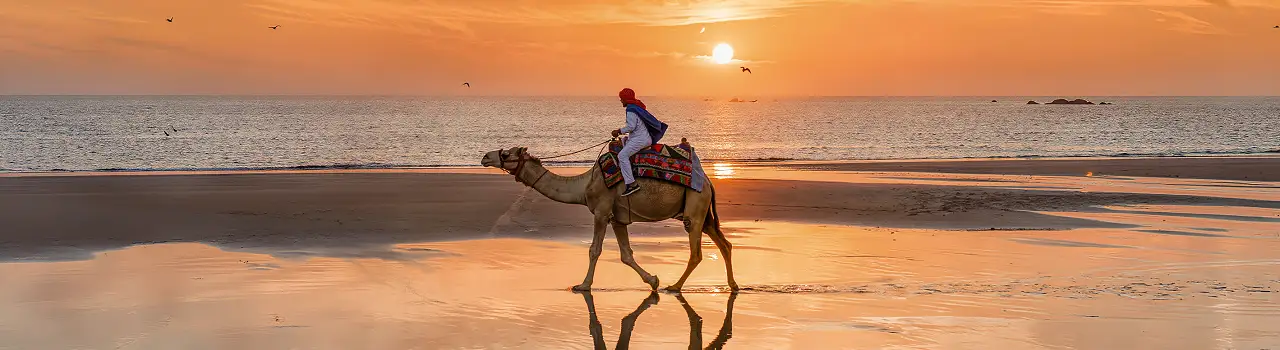 Kamelritt am Strand von Djerba bei Sonnenuntergang.