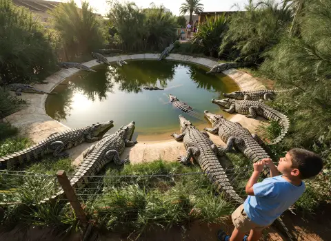 Krokodilfarm auf Djerba mit gro&szlig;en Krokodilen am Wasser.