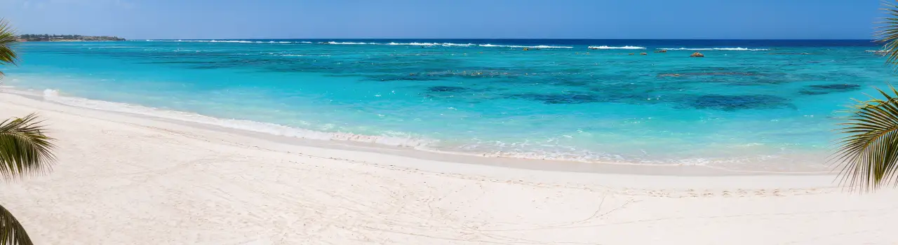 Strand von Djerba mit Palmen und ruhigem Meer, ideal f&uuml;r Last Minute Urlaub.