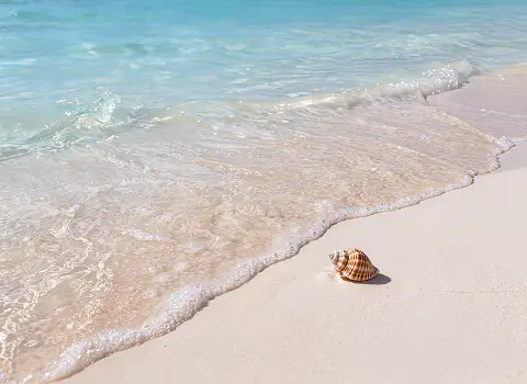 Strand in Hammamet Last Minute Reisen