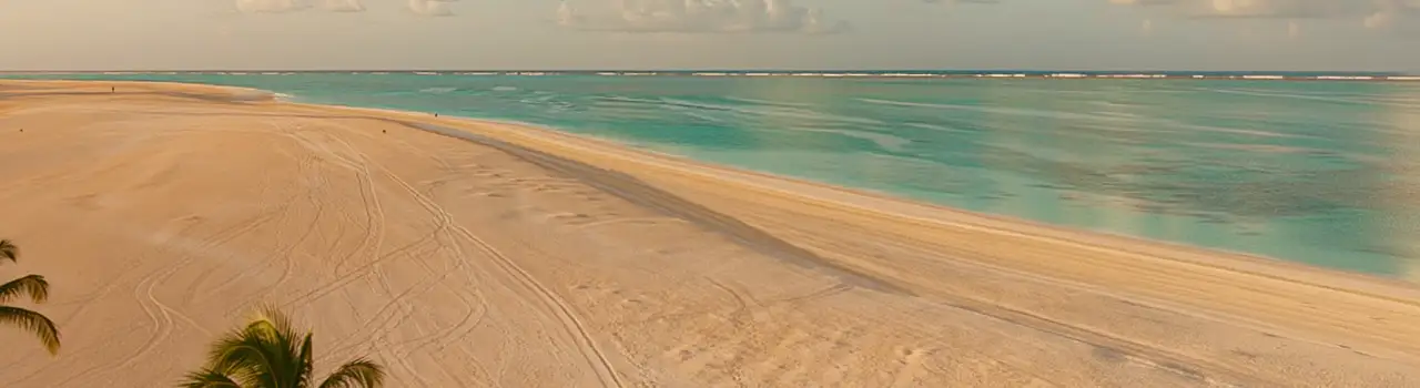 Endloser Sandstrand in Tunesien mit Palmen und t&uuml;rkisblauem Meer, perfekt f&uuml;r einen Langzeiturlaub