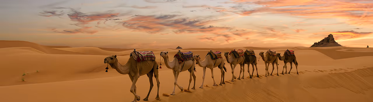 W&uuml;stenlandschaft in Tunesien mit Kamelkarawane