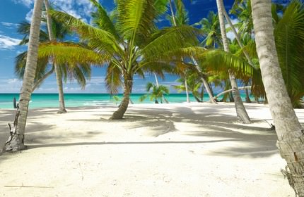 All Inclusive Punta Cana Pauschalreisen