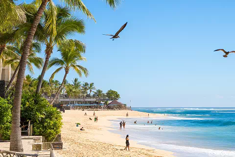 Balireisen online buchen Balireise buchen