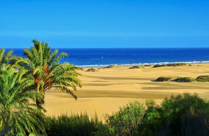 Pauschalreisen Maspalomas Gran Canaria - Canary Islands